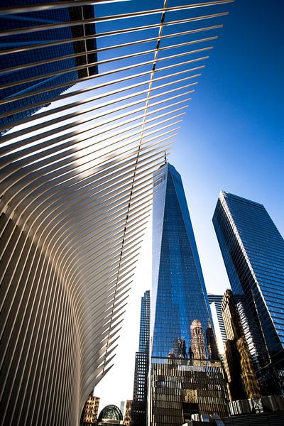 The Oculus, New York City von Ruby Schiffer