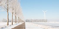 Winter in de Polder