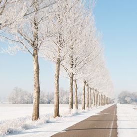 Winter in de Polder von Geke Willems