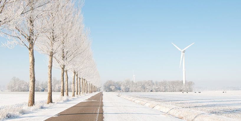 Winter in de Polder by Geke Willems