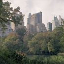 Central Park skyline van Maaike van Stratum thumbnail