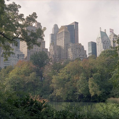 Central Park skyline van Maaike van Stratum
