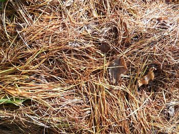 Herfst op zijn herfst.