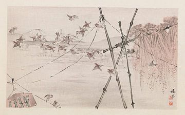 Takeuchi Seihō - Seihō jūni Fuji, Pl.10 (1894) sur Peter Balan
