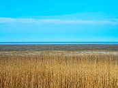 The Wadden Sea near Zwarte Haan on a lovely sunny day by Helene Ketzer thumbnail