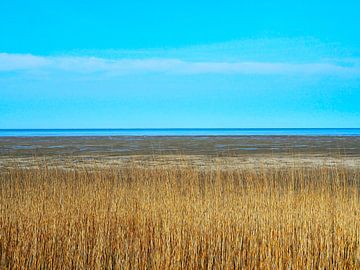 De Waddenzee bij Zwarte Haan op een heerlijke zonnige dag van Helene Ketzer