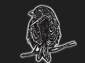 Sparrow ( drawing ) by Jose Lok thumbnail
