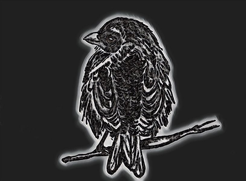 Sparrow ( drawing ) by Jose Lok