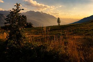 Evening is falling van Hans Vellekoop