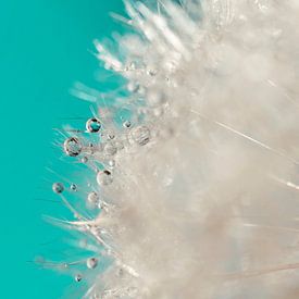 Skies of blue by Hilde Remerie Photography and digital art