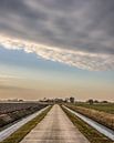 Het Friese landschap vlak ten noorden van Sneek van Harrie Muis thumbnail