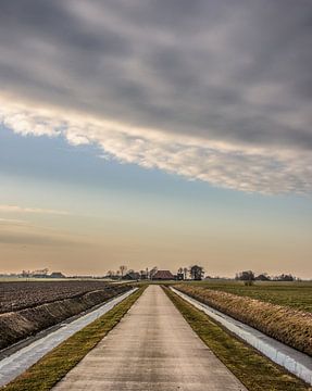 Het Friese landschap vlak ten noorden van Sneek van Harrie Muis