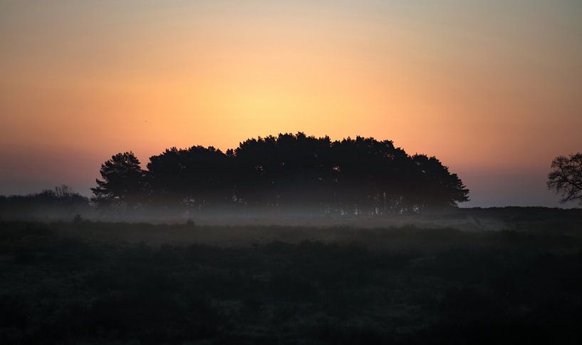 blue hour, Table Mountain Heath by Marijke Groos