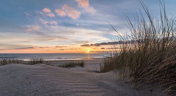 Sonnenuntergang März 2016 teil 2