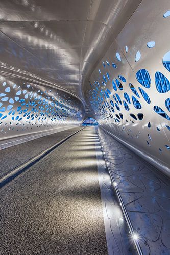 Illuminated Park Bridge at night, Antwerp 