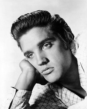 Elvis Presley 1956 by Bridgeman Images