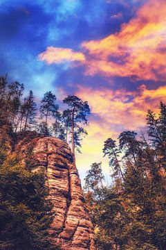 Pure nature in Bad Schandau - Kirnitzschklamm gorge by Jakob Baranowski - Photography - Video - Photoshop