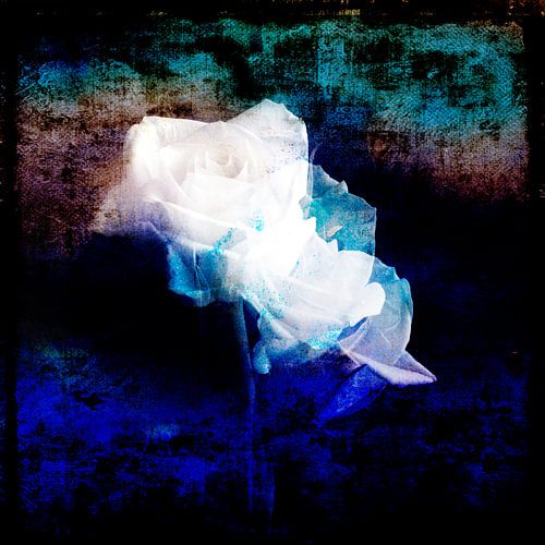 visioen in tijden van Corona