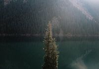 Kolsai-Bergsee mit grünen Nadelbäumen bei Almaty, Kasachstan