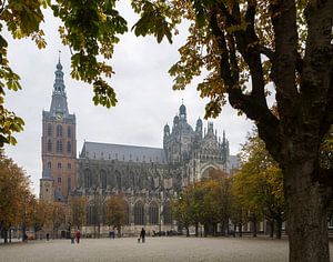 Sint-Janskathedraal in 's-Hertogenbosch van Sander Groffen