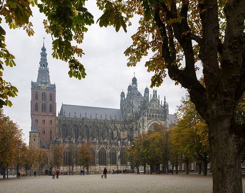 Sint-Janskathedraal in 's-Hertogenbosch