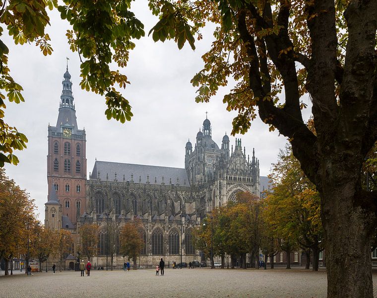 St. John's Cathedral in Bois-le-Duc, Netherlands by Sander Groffen