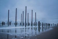 Palendorp met spiegeling