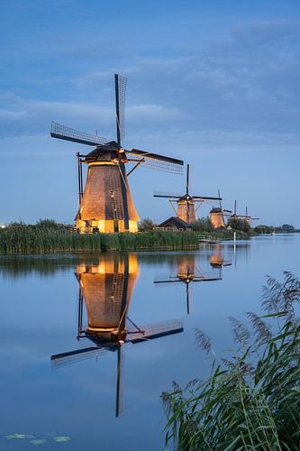 Beleuchtete Windmühlen in Kinderdijk bei Rotterdam