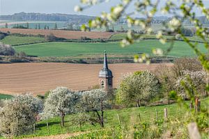 Kirchturm von Eys zwischen den Blüten