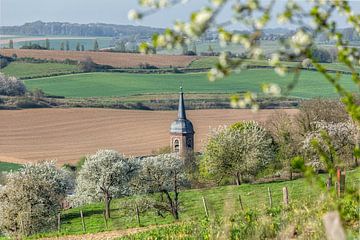 Church tower of Eys between the blossoms by John Kreukniet