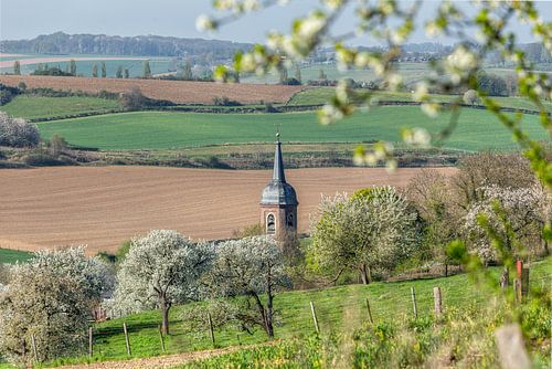 Kerktoren van Eys tussen de bloesem