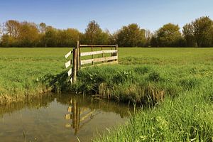 Zaun auf der Wiese