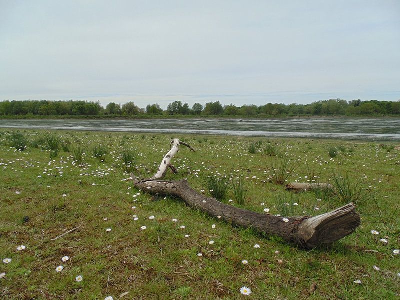 Slik par Koos Iperen