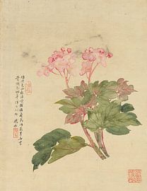 Flowers P. I., Liang Yuwei