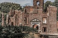 Ruïne Kasteel Bleijenbeek van Ans Bastiaanssen thumbnail