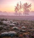 Frozen Dusk Twins van Epic Photography thumbnail