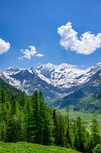 Alpen in Österreich im Frühling