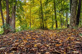 Baden-Württemberg : L'automne est arrivé sur Photoart-Naegele