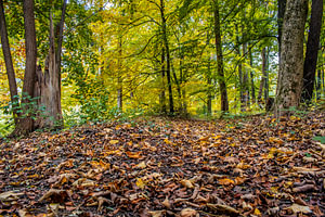 Baden-Württemberg : Der Herbst ist angekommen