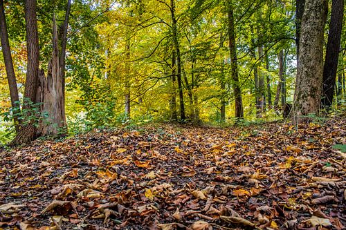 Baden-Württemberg: de herfst is begonnen