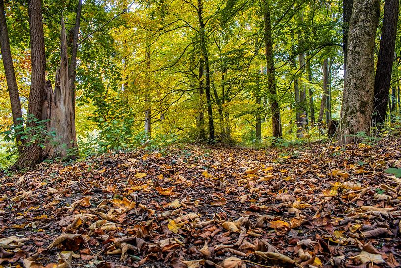 Baden-Württemberg : Der Herbst ist angekommen von Photoart-Naegele
