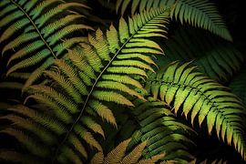 Forest ferns against black background by Vlindertuin-Art