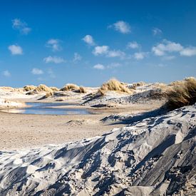 Dünenlandschaft Texel von Johan Pape