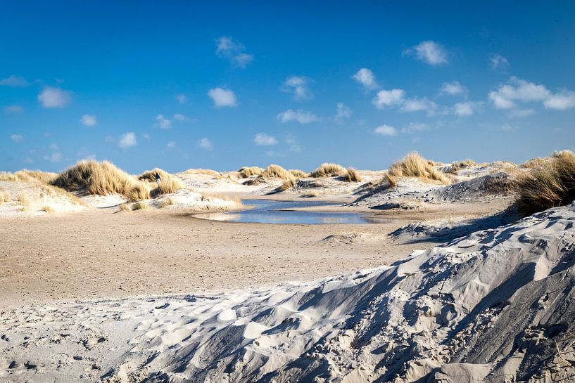 Duinlandschap Texel van Johan Pape