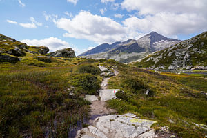 Sommerliche Berglandschaft in der Schweiz mit grünen Almen und markanten Gipfeln.