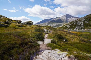Summer mountain landscape in Switzerland with green alpine pastures and striking peaks. by Miriam Schwarzfischer Fotografie