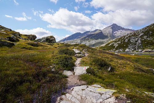 Zomers berglandschap in Zwitserland met groene alpenweiden en markante bergtoppen.