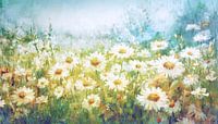 Daisy field