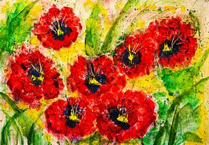 prairie de pavot rouge
