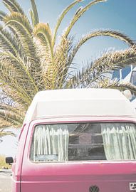Pink van and palm tree by David Potter